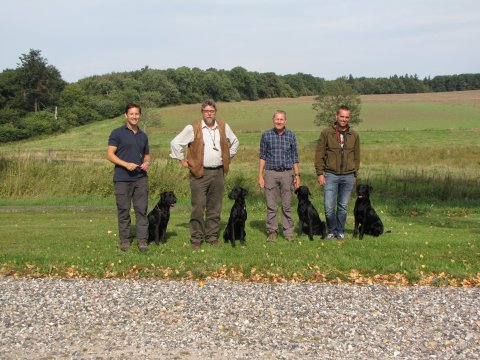 brugsprøve bestået brugsprøve bestået